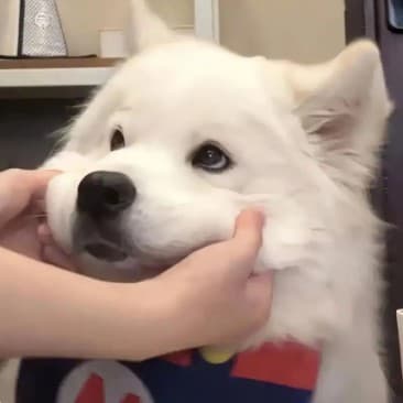 陈学姐